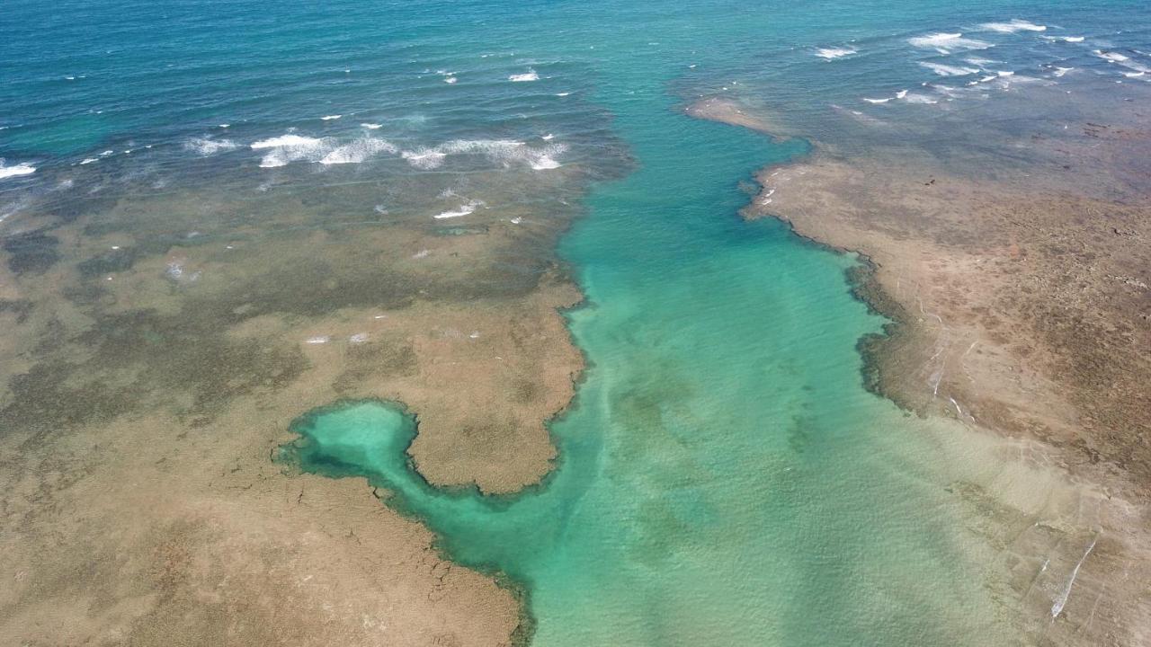Bella Vida Casa Azul Διαμέρισμα Morro de São Paulo Εξωτερικό φωτογραφία